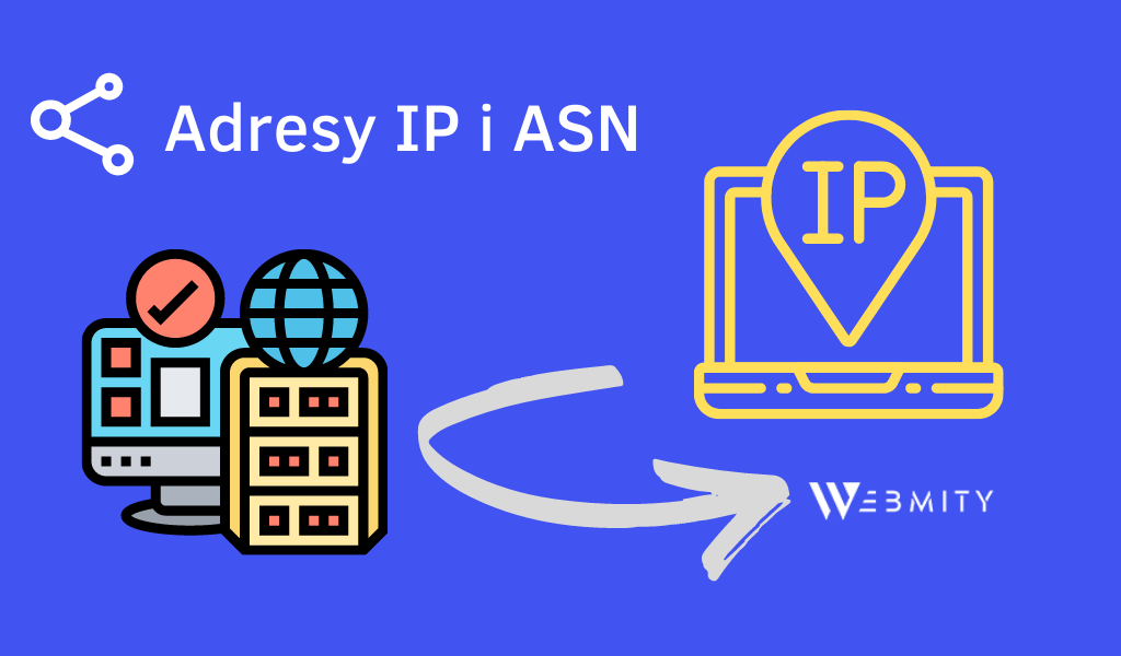 adres IP i numer ASN hosting seo